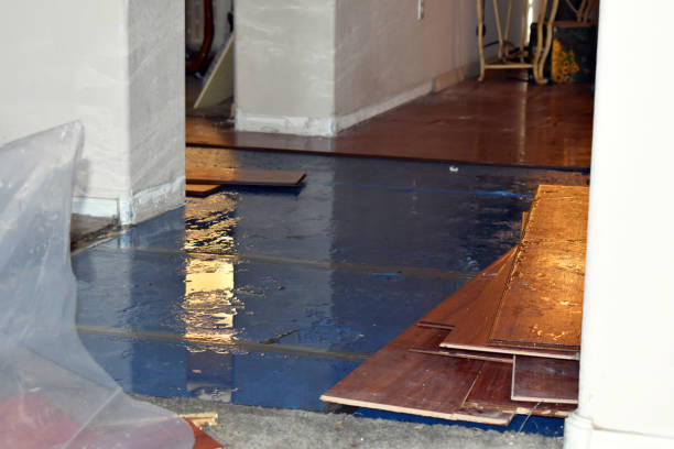 Professional Water Damage Restoration technician working in Wiggins, CO